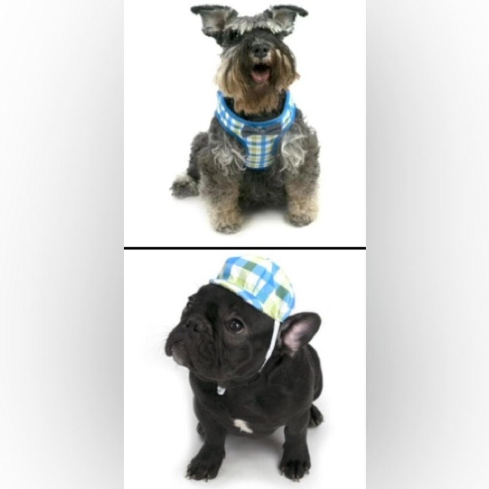 NWT Lot of 2x [Vibrant Life] Bow Tie Dog Harnesses & Newsboy Hat, X-Small Breed